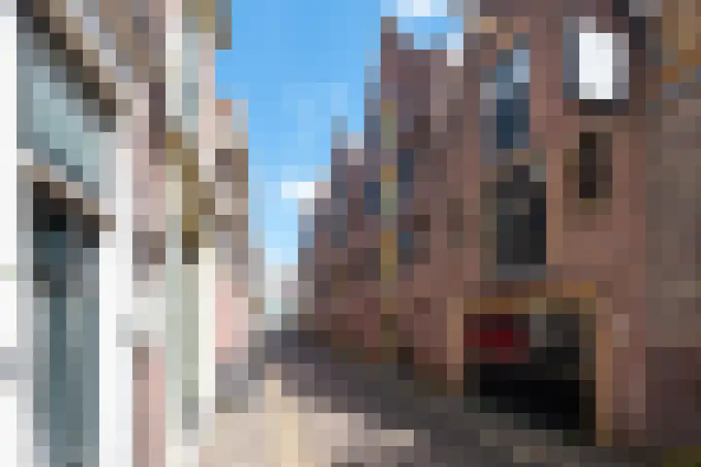 Pieterstraat 9 Alkmaar thumbnail 5