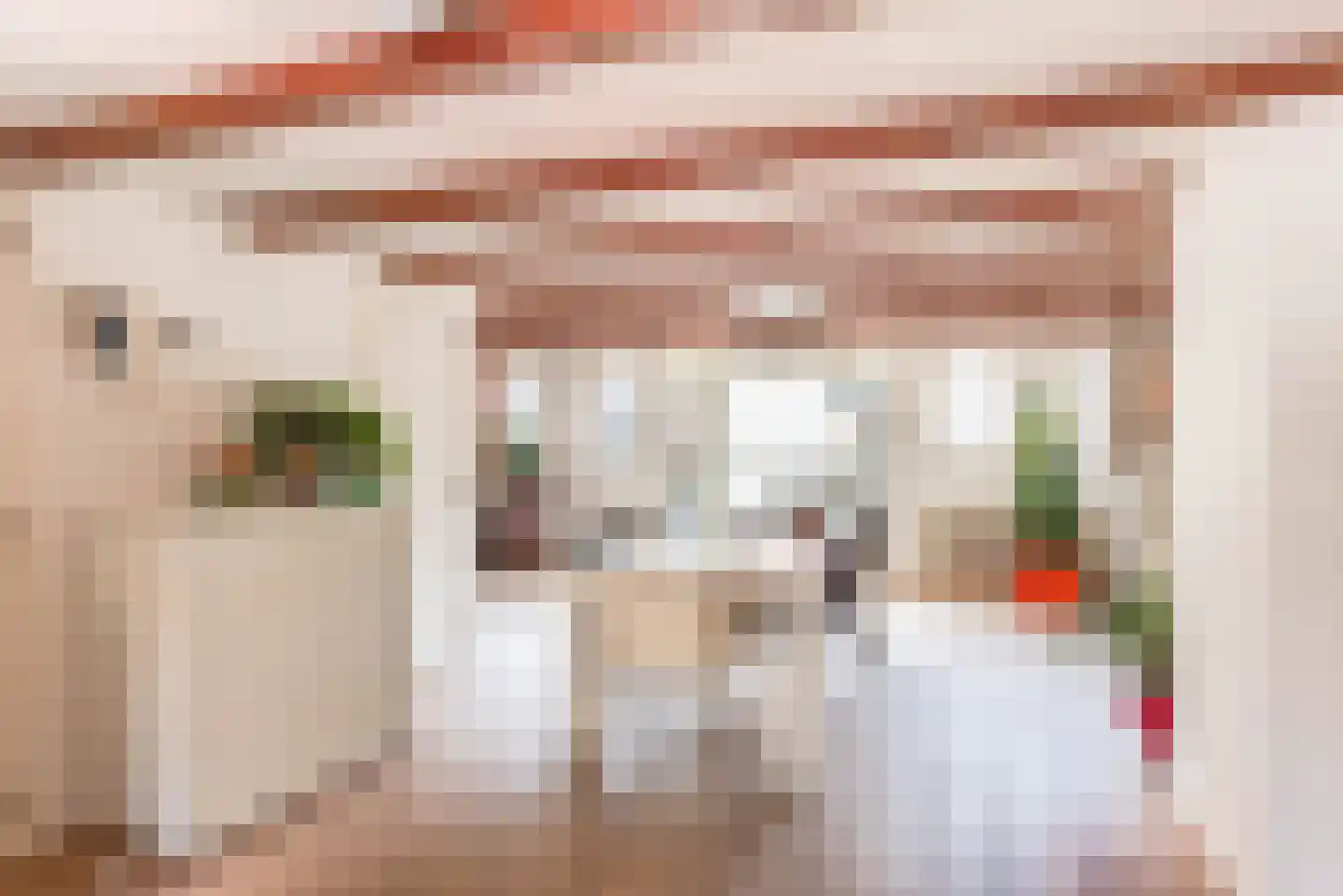Pieterstraat 9 Alkmaar thumbnail 7
