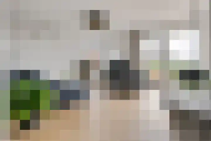 Pieterswaard 2 Herwijnen thumbnail 13
