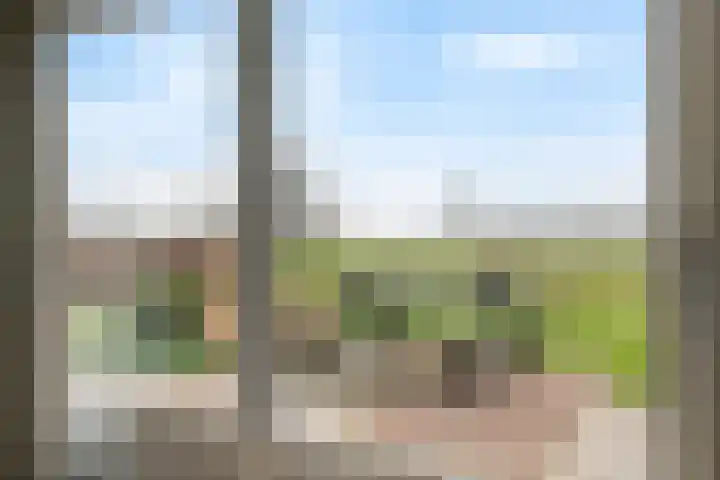Pieterswaard 2 Herwijnen thumbnail 14