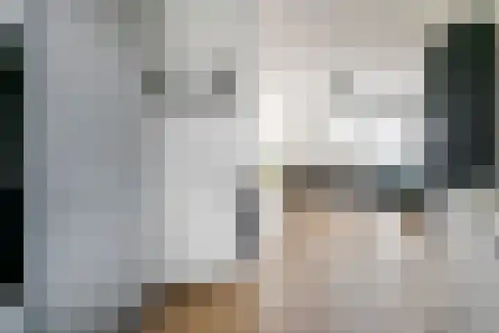 Pieterswaard 2 Herwijnen thumbnail 19