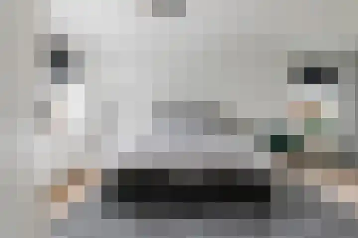 Pieterswaard 2 Herwijnen thumbnail 30