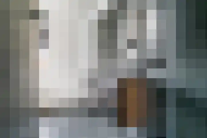 Pieterswaard 2 Herwijnen thumbnail 33