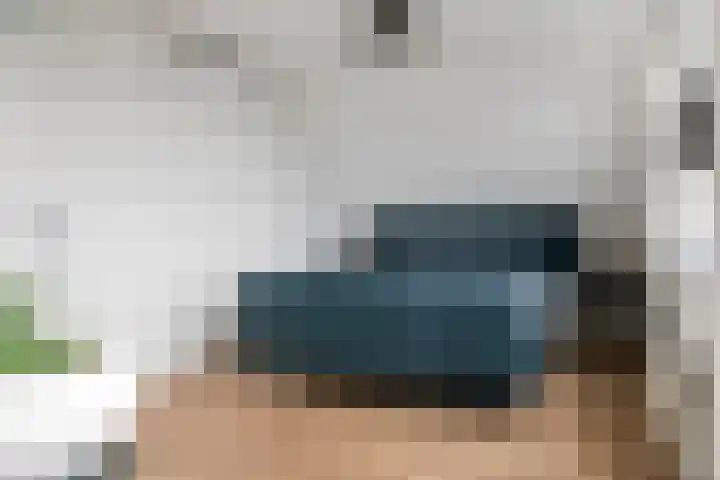 Pieterswaard 2 Herwijnen thumbnail 37