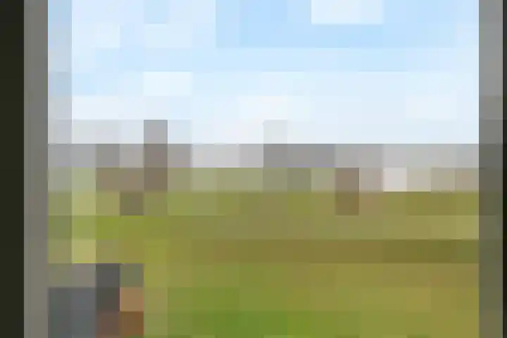 Pieterswaard 2 Herwijnen thumbnail 38