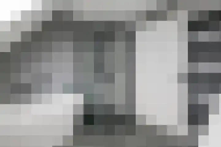 Pieterswaard 2 Herwijnen thumbnail 43