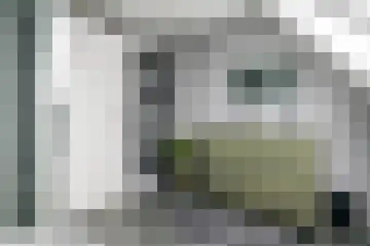 Pieterswaard 2 Herwijnen thumbnail 44