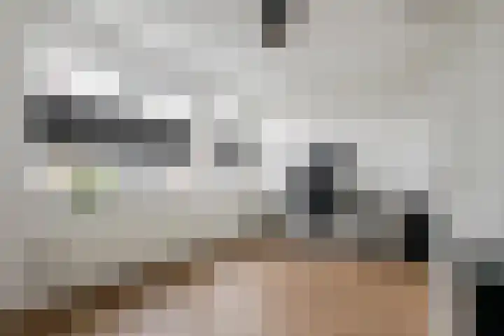 Pieterswaard 2 Herwijnen thumbnail 47