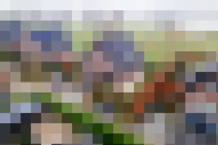 Pieterswaard 2 Herwijnen thumbnail 5
