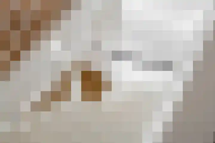 Pieterswaard 2 Herwijnen thumbnail 54