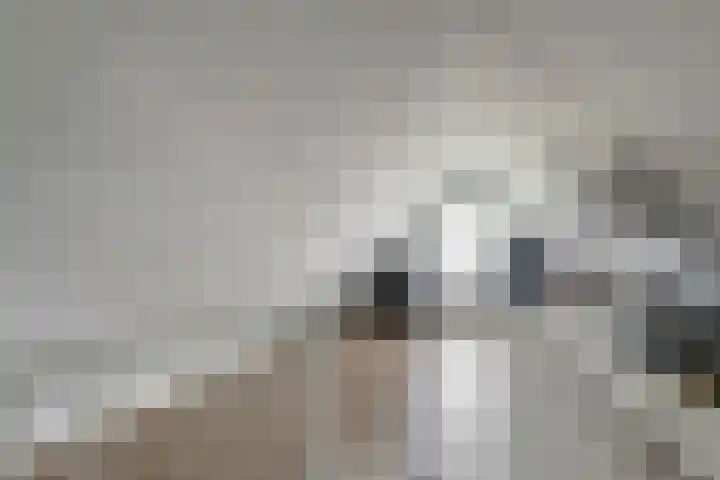 Pieterswaard 2 Herwijnen thumbnail 56