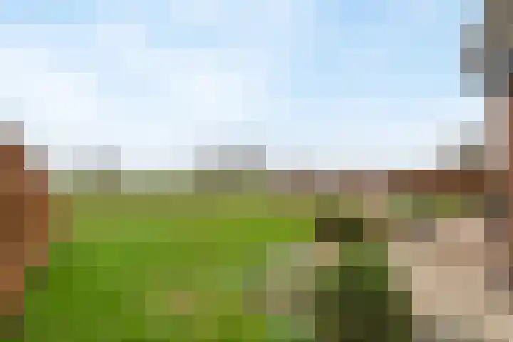 Pieterswaard 2 Herwijnen thumbnail 59