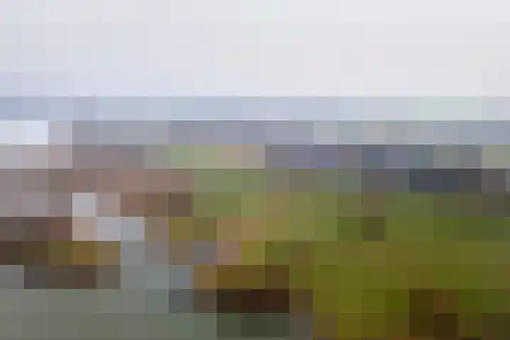 Pieterswaard 2 Herwijnen thumbnail 6