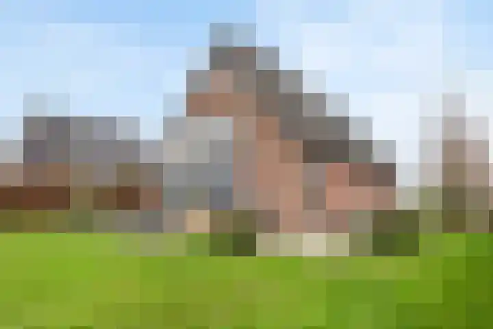 Pieterswaard 2 Herwijnen thumbnail 60