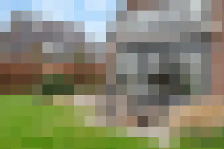 Pieterswaard 2 Herwijnen thumbnail 61