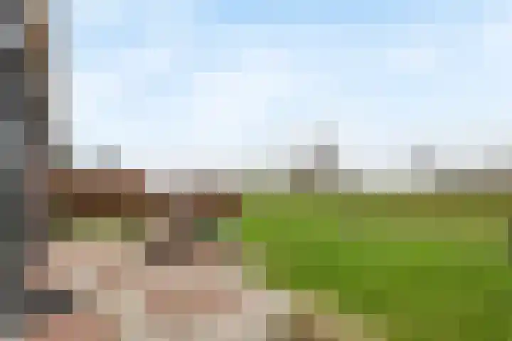 Pieterswaard 2 Herwijnen thumbnail 62