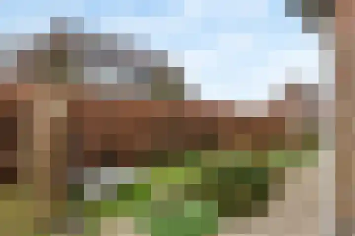 Pieterswaard 2 Herwijnen thumbnail 64