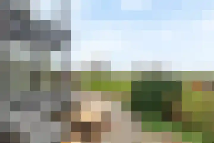 Pieterswaard 2 Herwijnen thumbnail 65