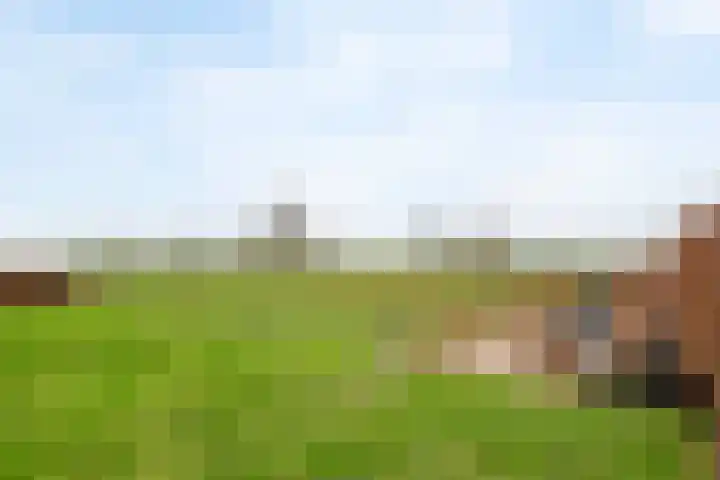 Pieterswaard 2 Herwijnen thumbnail 66