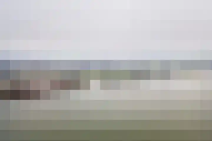Pieterswaard 2 Herwijnen thumbnail 68