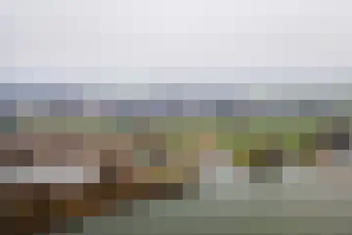 Pieterswaard 2 Herwijnen thumbnail 69