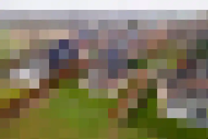 Pieterswaard 2 Herwijnen thumbnail 7