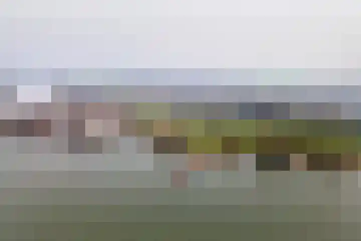 Pieterswaard 2 Herwijnen thumbnail 70