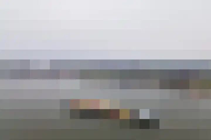 Pieterswaard 2 Herwijnen thumbnail 71