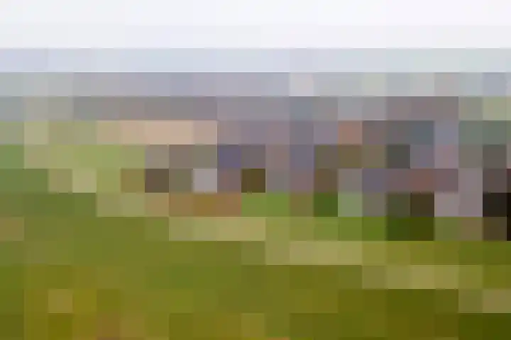 Pieterswaard 2 Herwijnen thumbnail 72