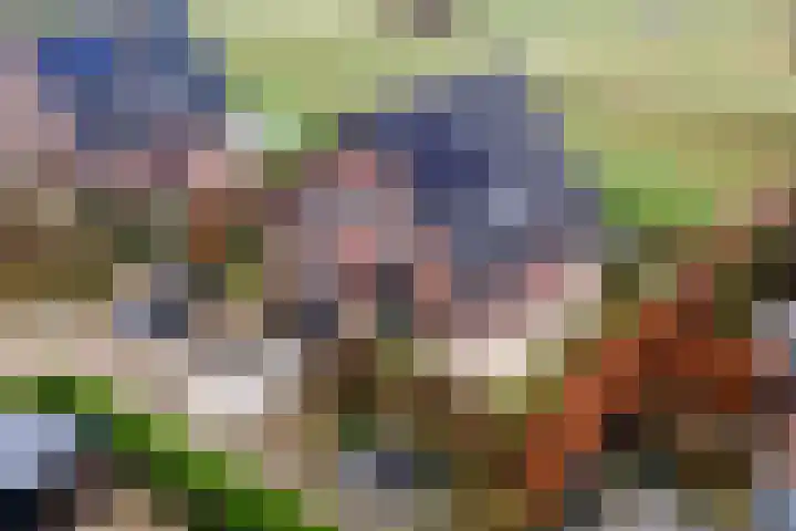 Pieterswaard 2 Herwijnen thumbnail 73