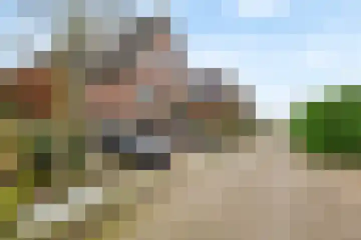 Pieterswaard 2 Herwijnen thumbnail 9