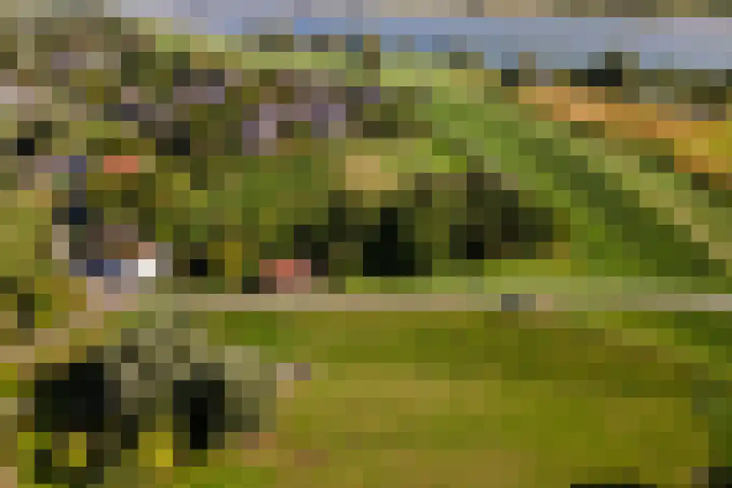 Pieterswaard Herwijnen thumbnail 10