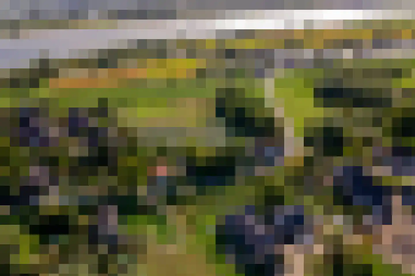 Pieterswaard Herwijnen thumbnail 11