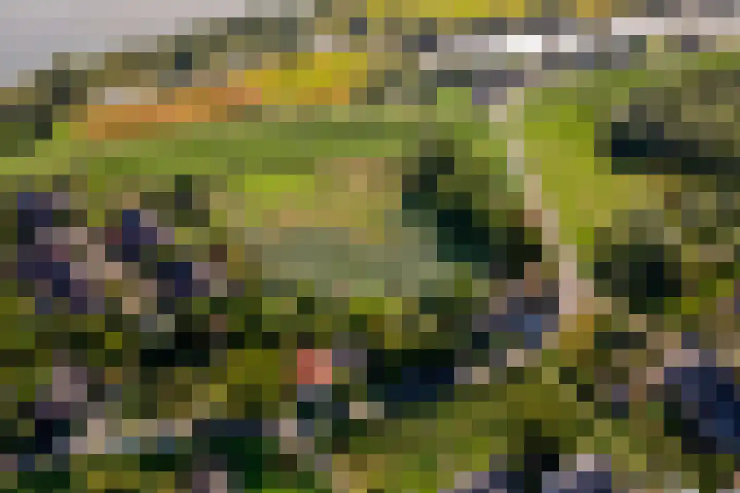 Pieterswaard Herwijnen thumbnail 12