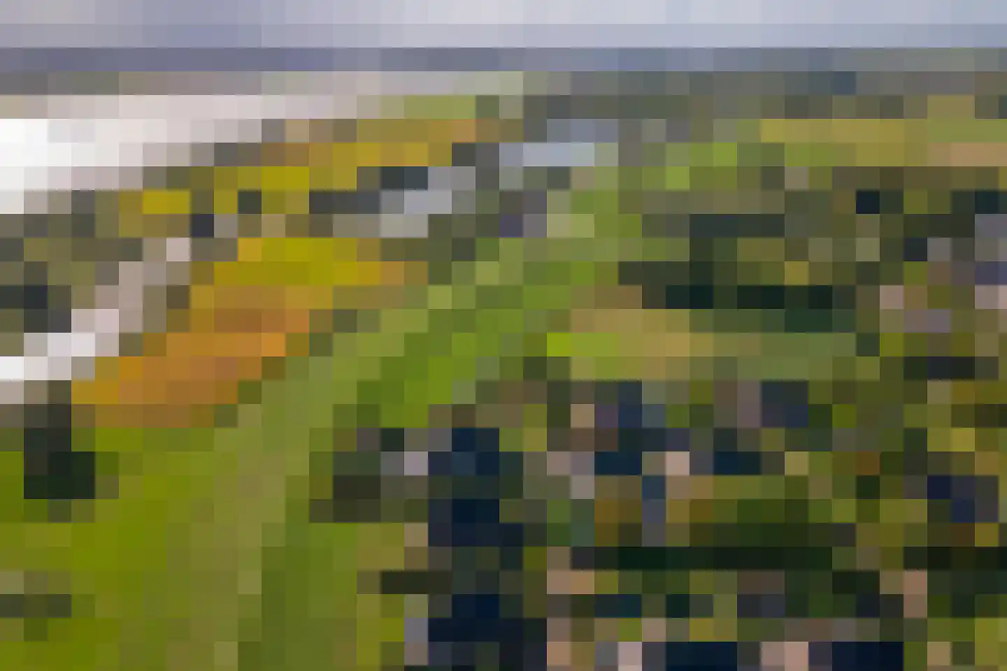 Pieterswaard Herwijnen thumbnail 14