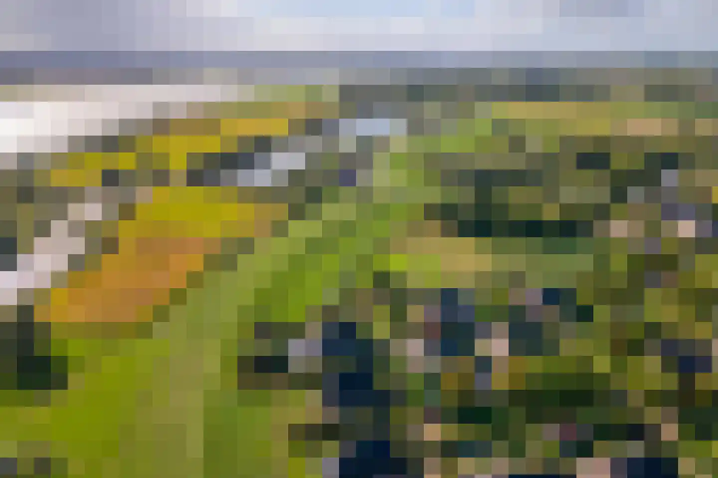 Pieterswaard Herwijnen thumbnail 15