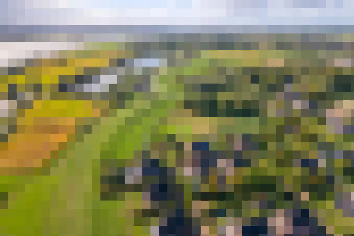 Pieterswaard Herwijnen thumbnail 16