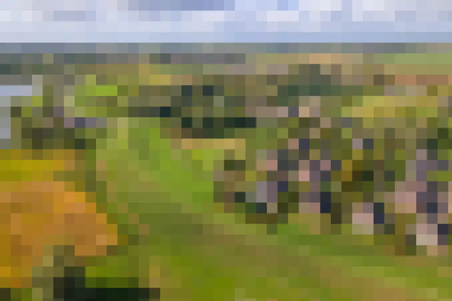 Pieterswaard Herwijnen thumbnail 17