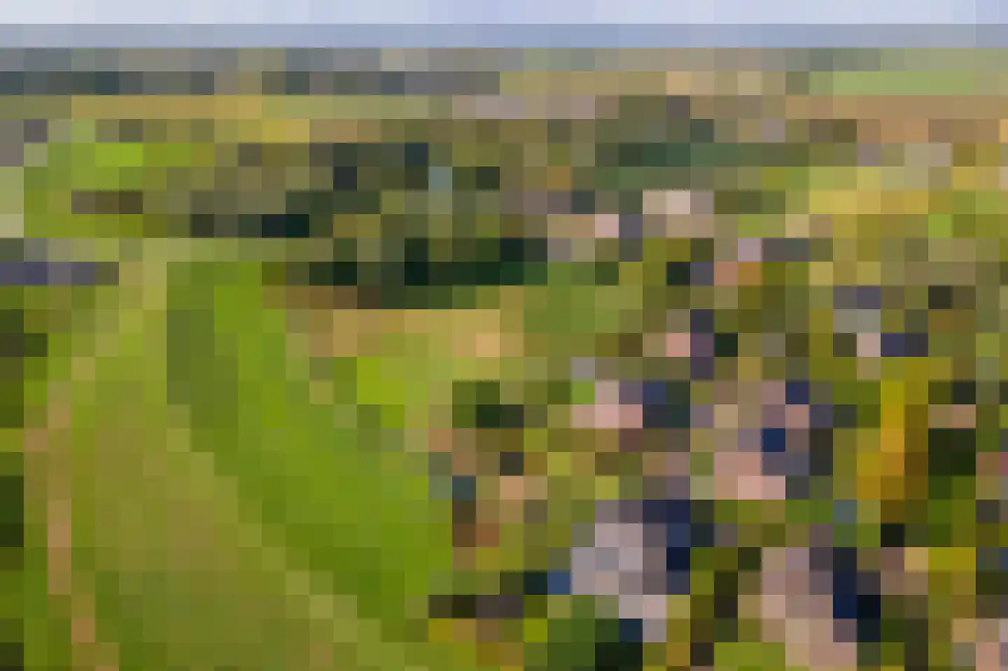 Pieterswaard Herwijnen thumbnail 18