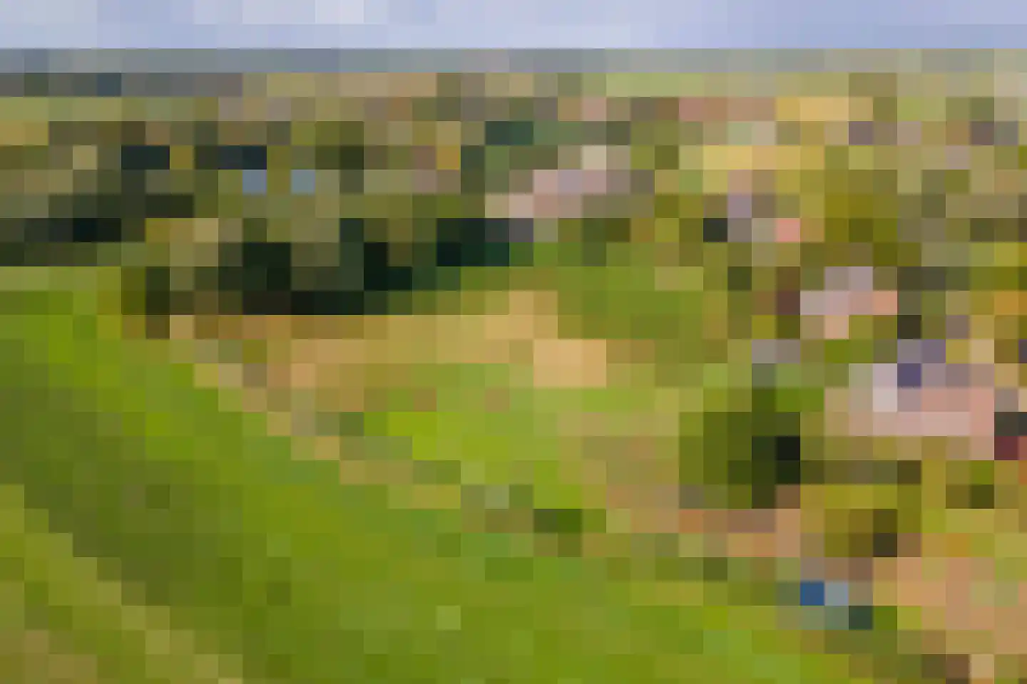 Pieterswaard Herwijnen thumbnail 19