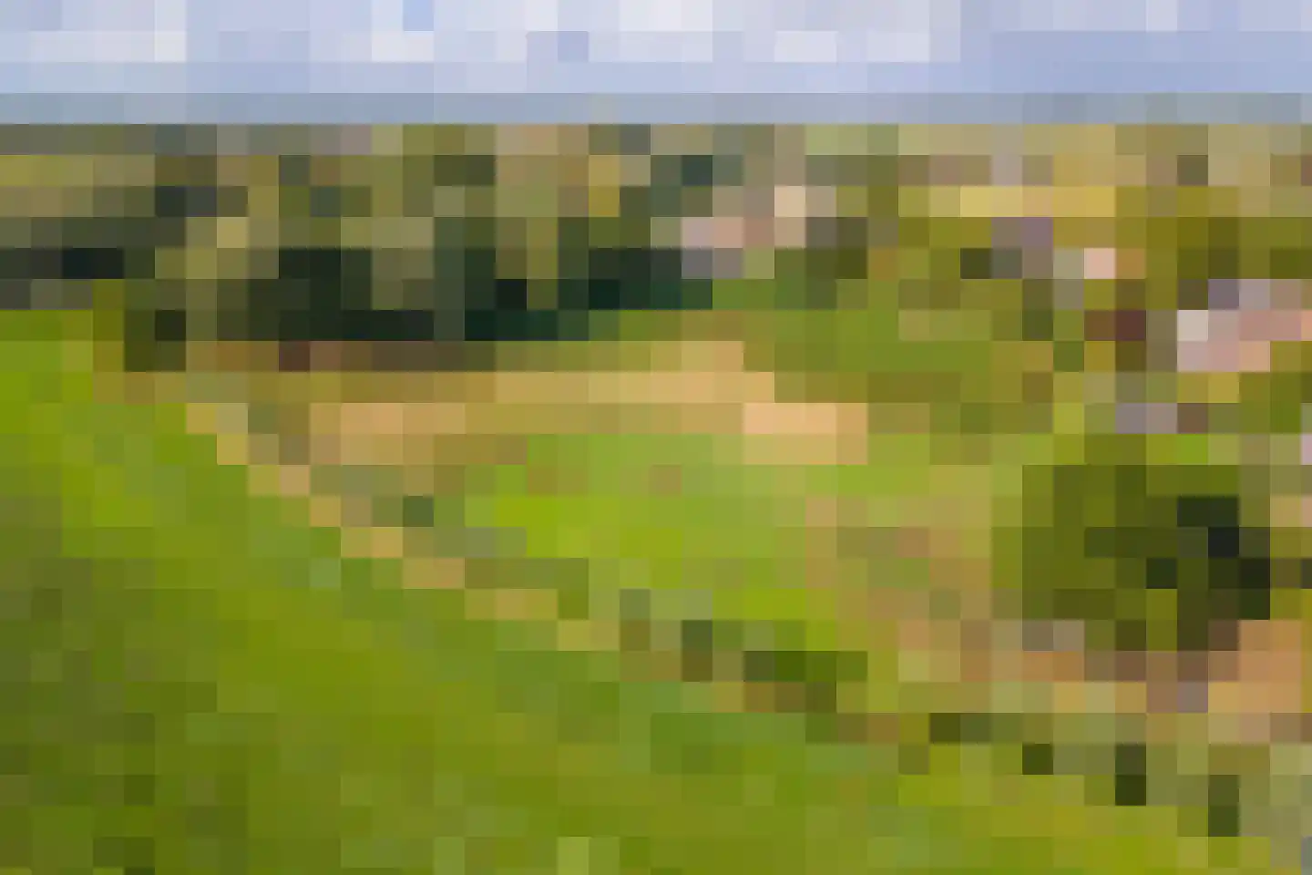 Pieterswaard Herwijnen thumbnail 20