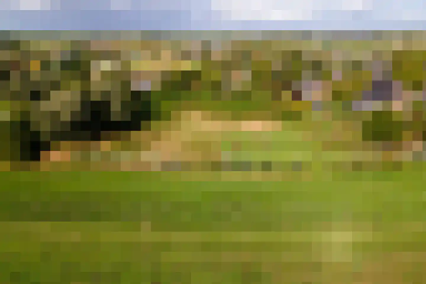 Pieterswaard Herwijnen thumbnail 21