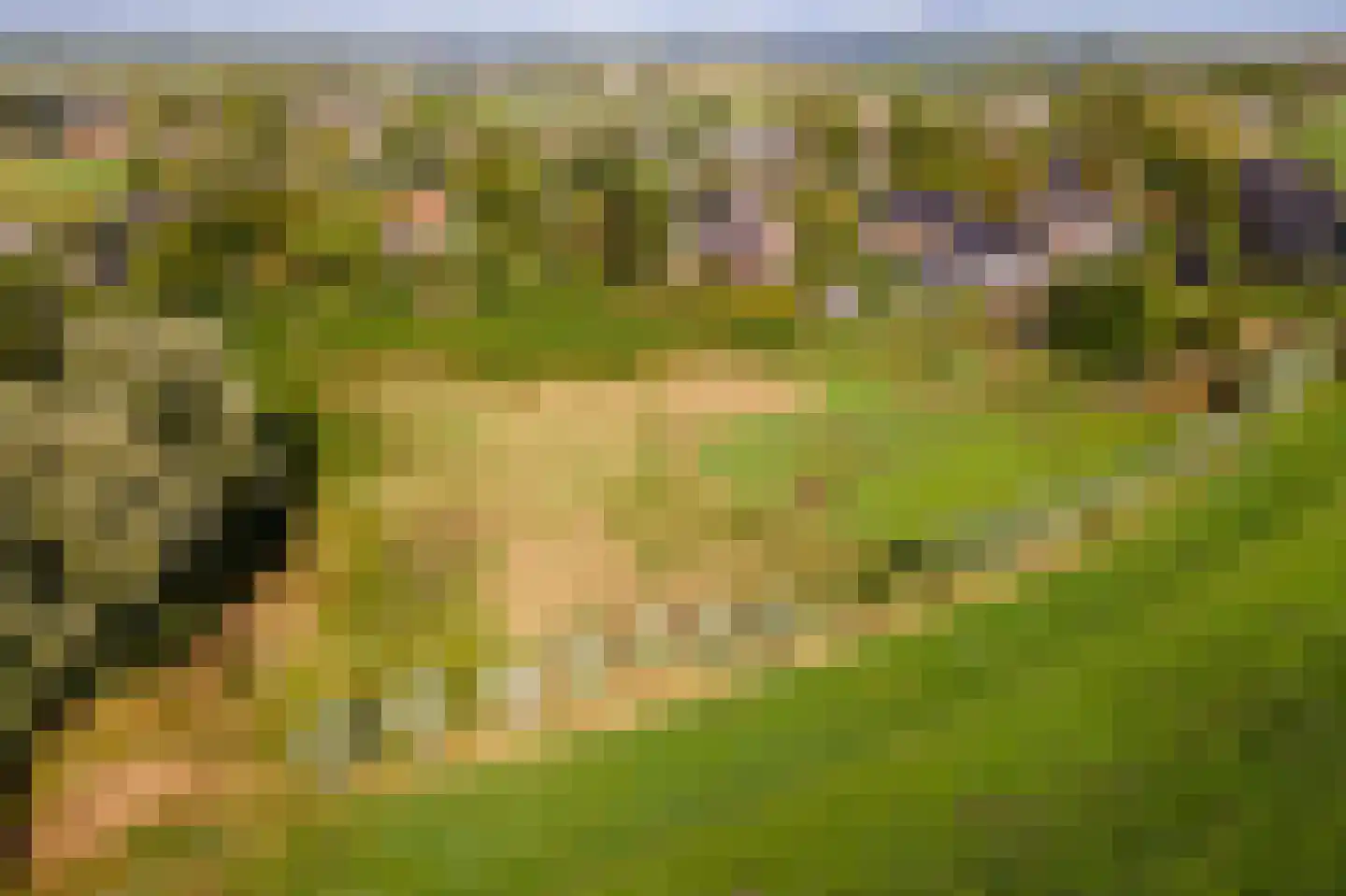 Pieterswaard Herwijnen thumbnail 22
