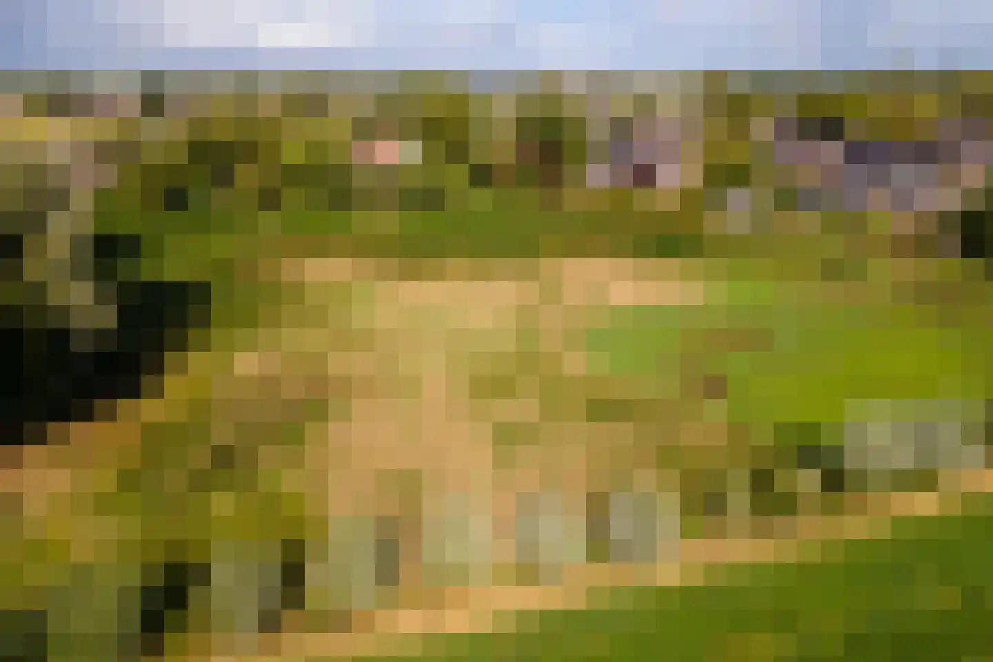 Pieterswaard Herwijnen thumbnail 23