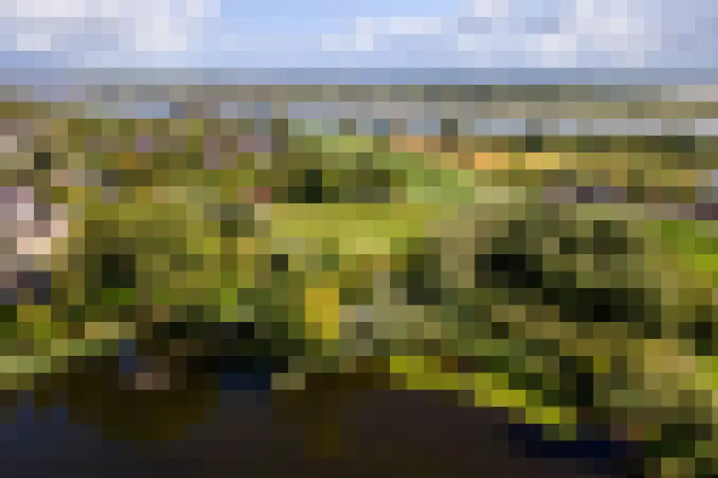 Pieterswaard Herwijnen thumbnail 26