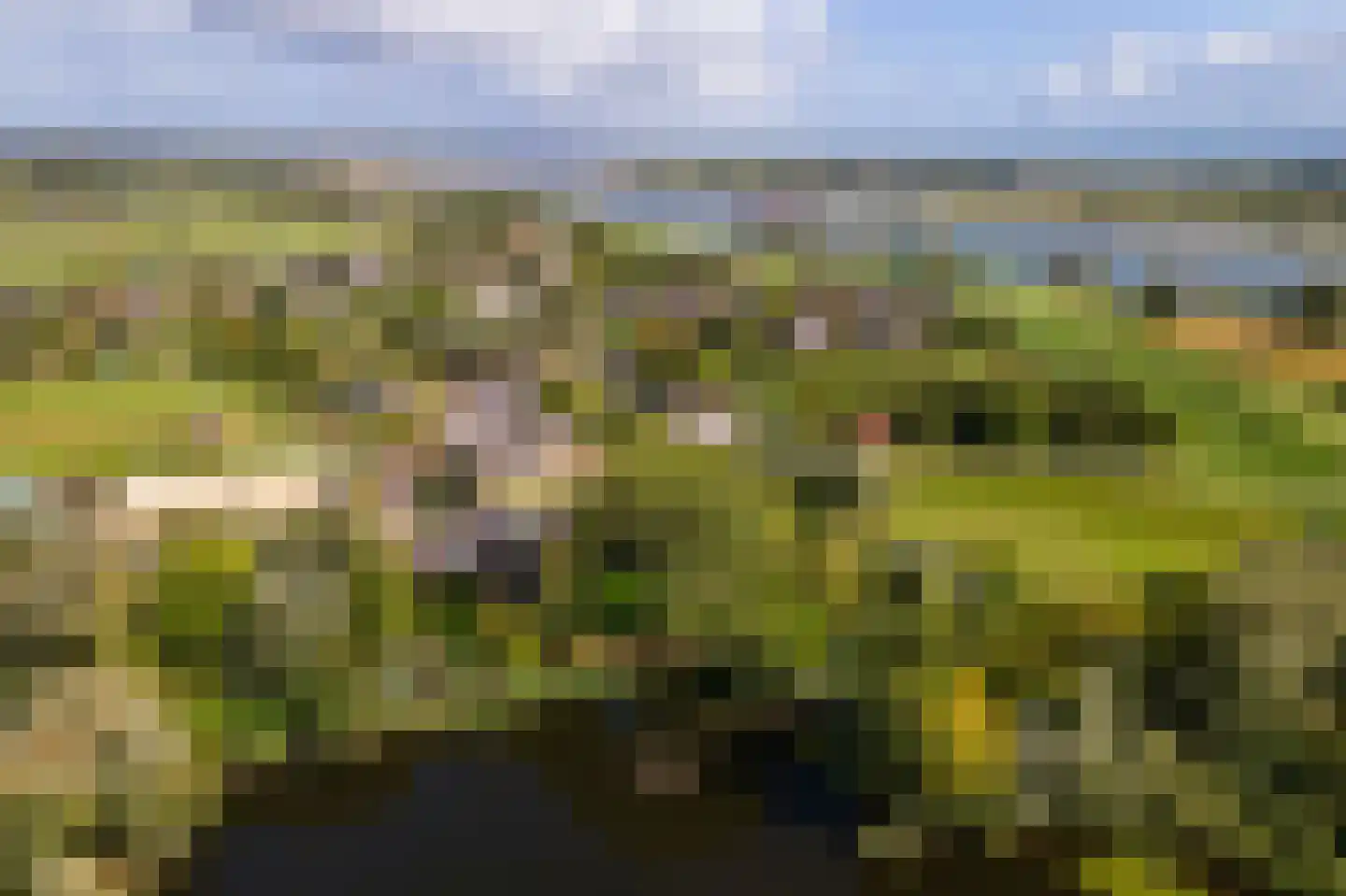 Pieterswaard Herwijnen thumbnail 27