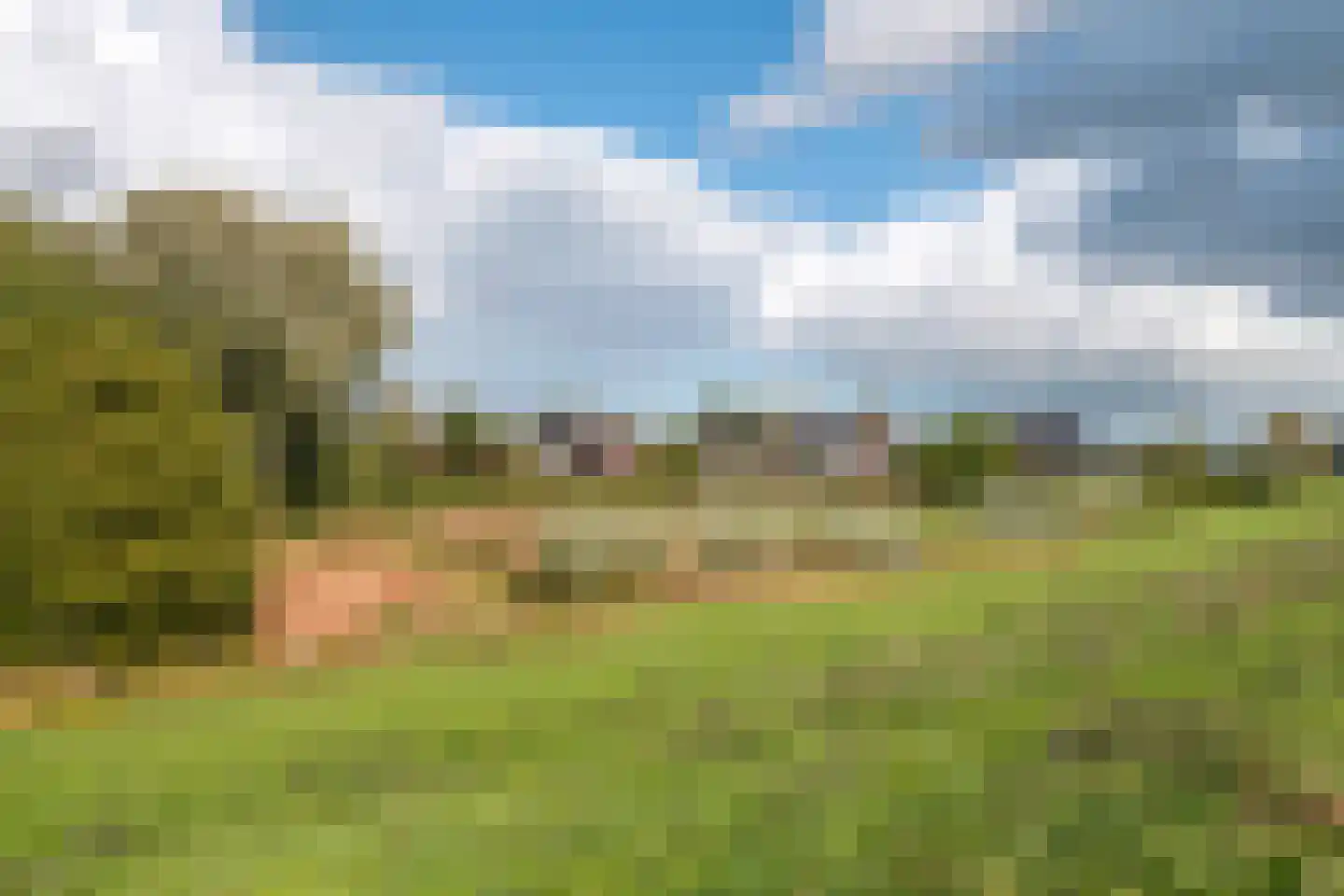 Pieterswaard Herwijnen thumbnail 32
