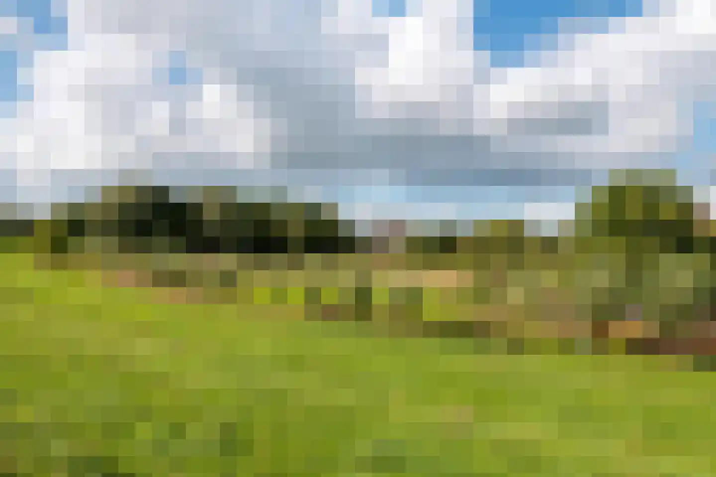 Pieterswaard Herwijnen thumbnail 33