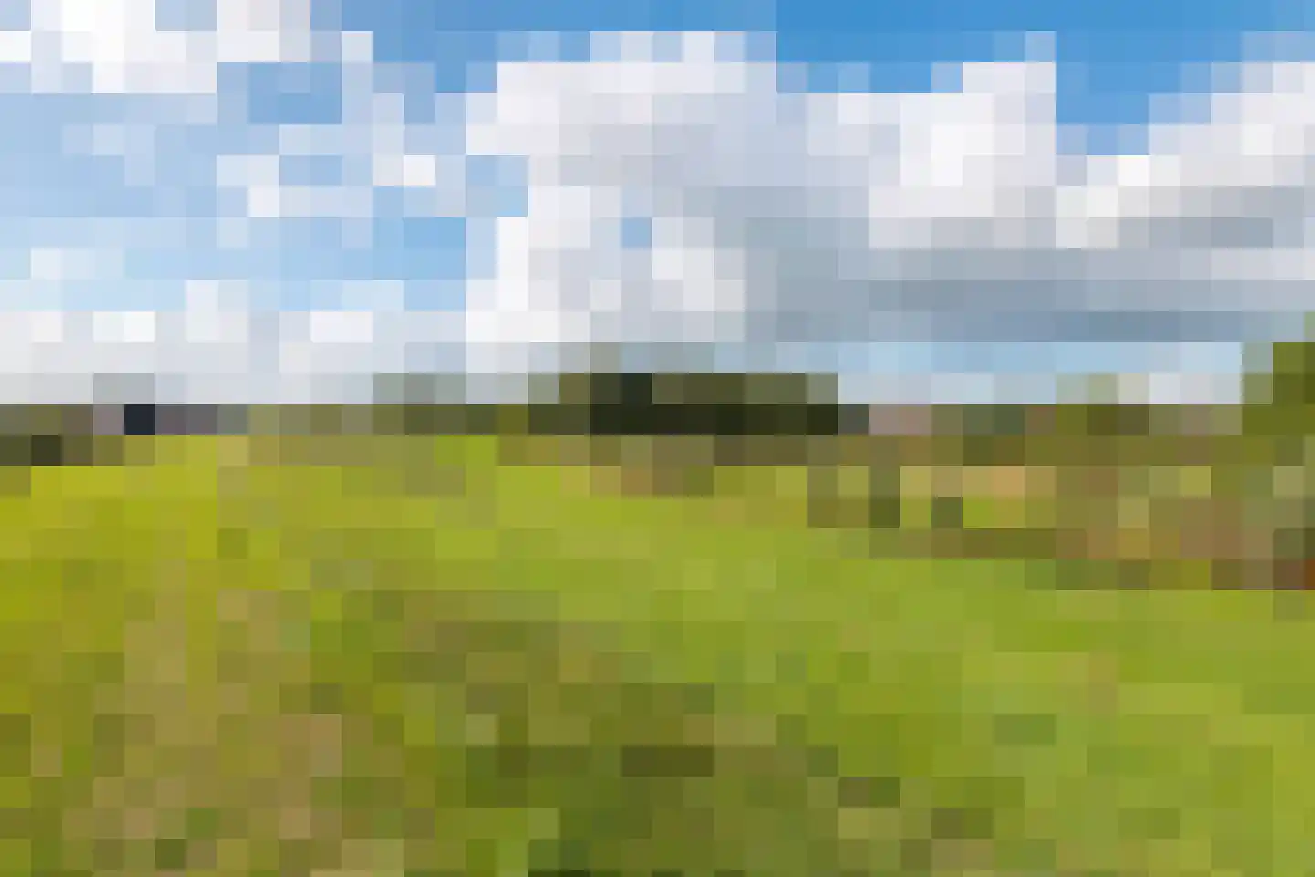 Pieterswaard Herwijnen thumbnail 34