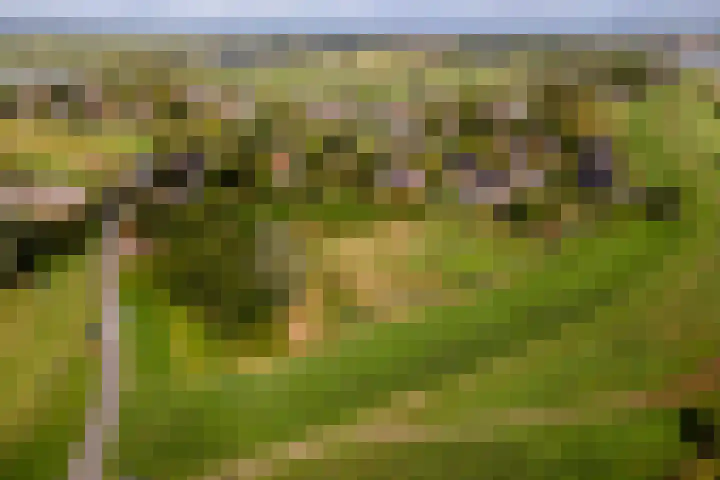 Pieterswaard Herwijnen thumbnail 7